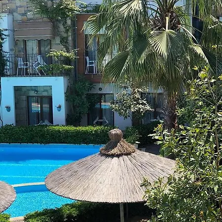 Liona & 3* Gundogan (Bodrum)