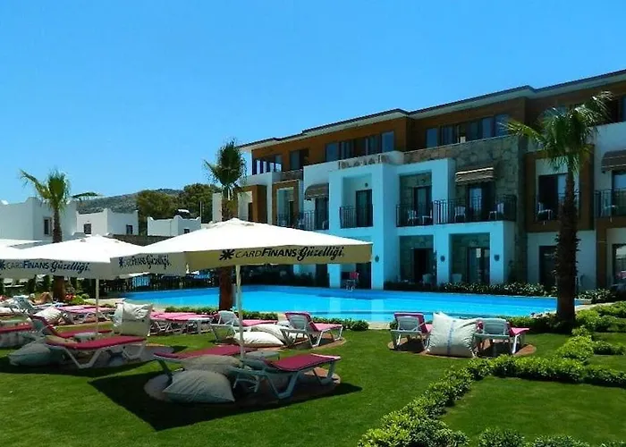 Liona & Hotell