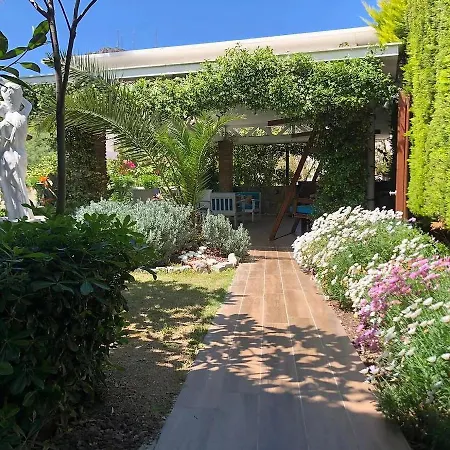 Liona & Hotel Gundogan (Bodrum)