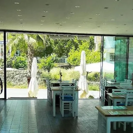 Liona & 3* Gundogan (Bodrum)