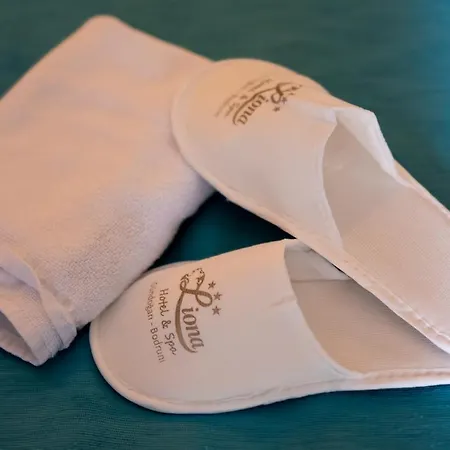 Hotel Liona & Gündoğan